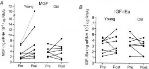 mgf3